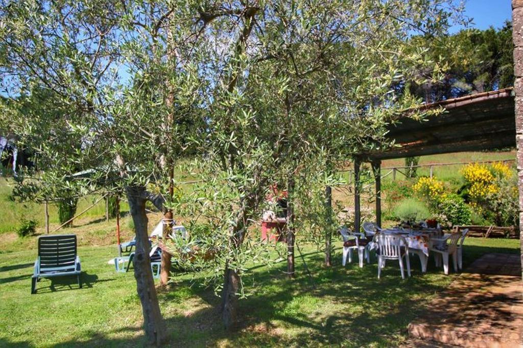 Agriturismo Bellavista Radicondoli Exterior foto